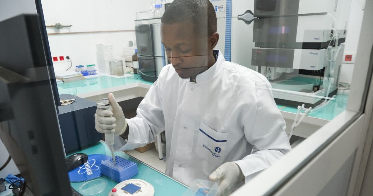 a laboratory researcher in a white lab coat and gloves uses a pipette to transfer samples during testing in a medical laboratory.