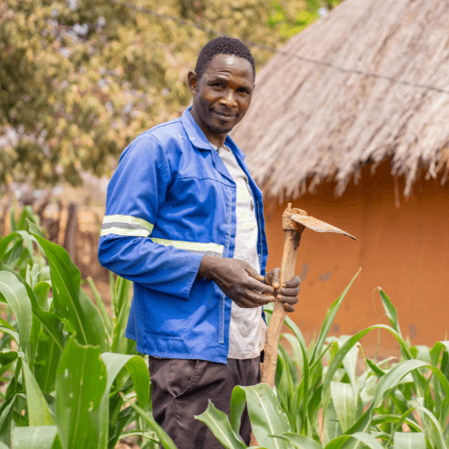 a farmer wearing a blue work jacket stands in a green field holding a farming tool near a thatched-roof structure.