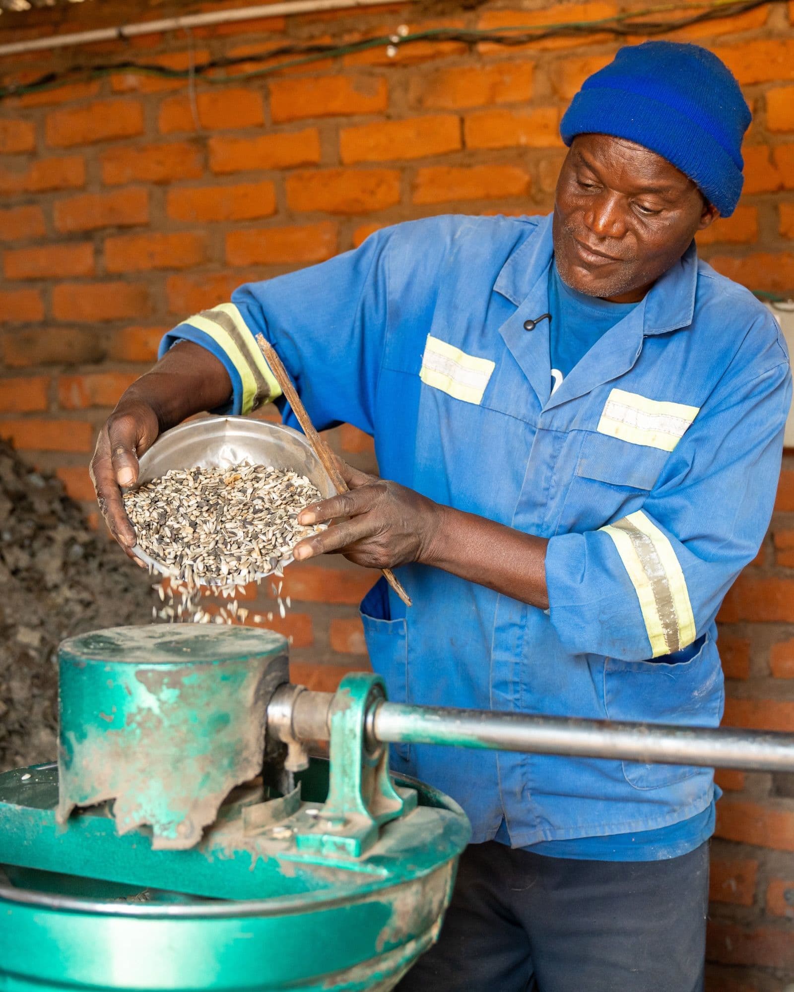 a worker in blue coveralls pours seeds or grains into processing equipment inside a workshop.