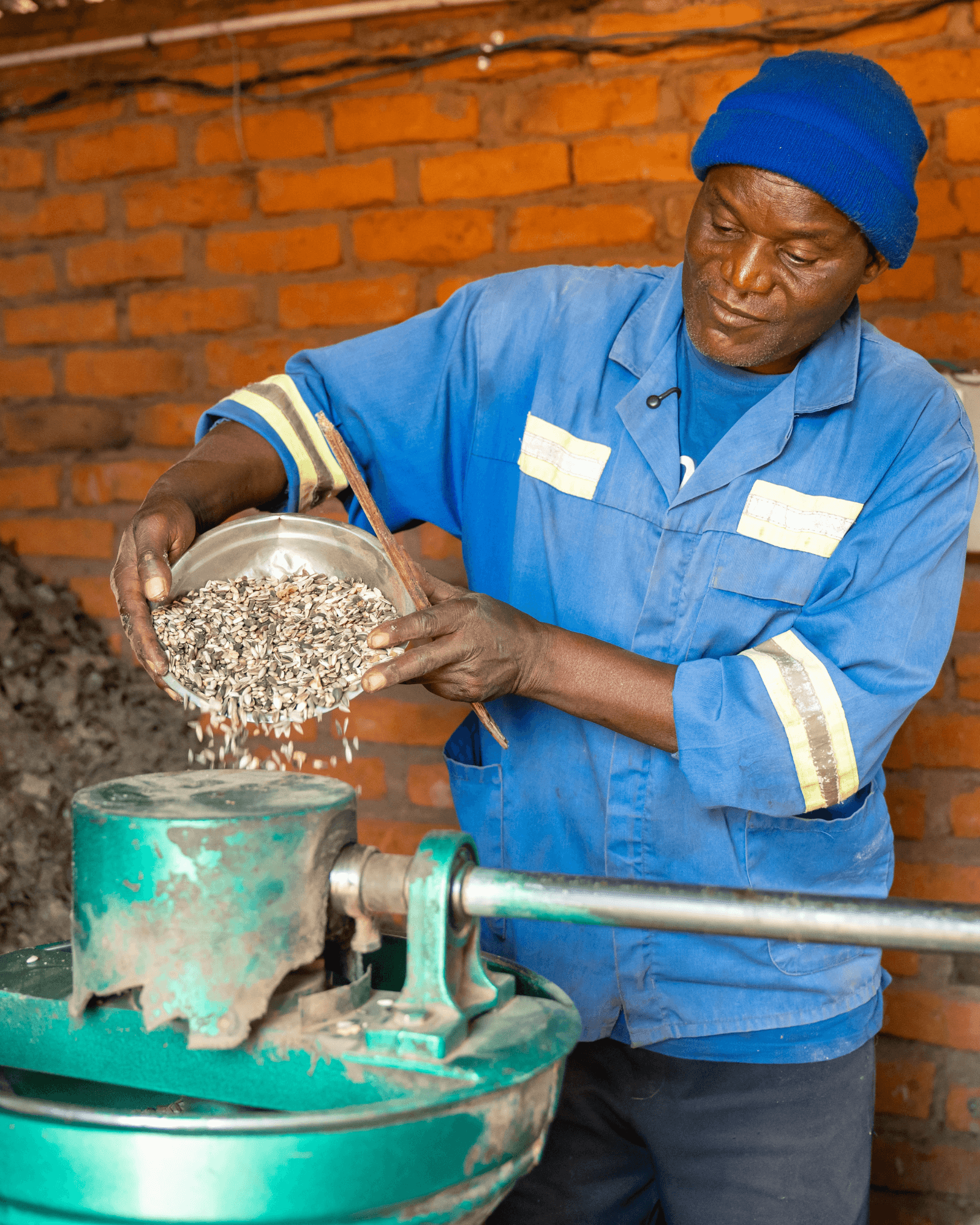 a worker in blue coveralls pours seeds or grains into processing equipment inside a workshop.