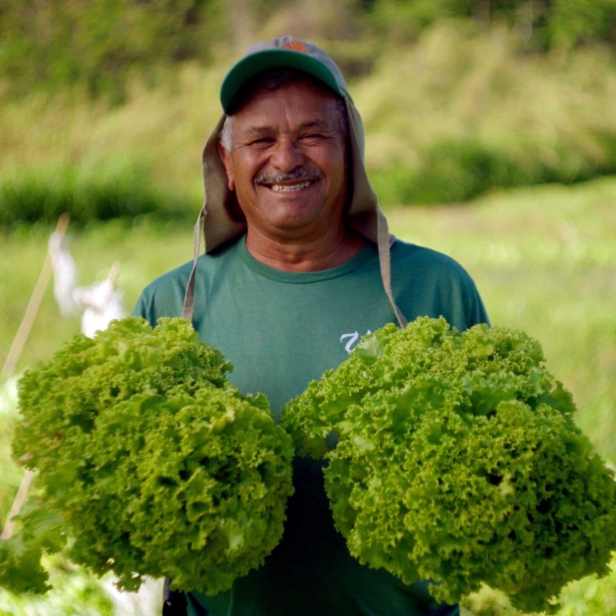 a farmer smiles while holding two large heads of leafy green lettuce in a field.