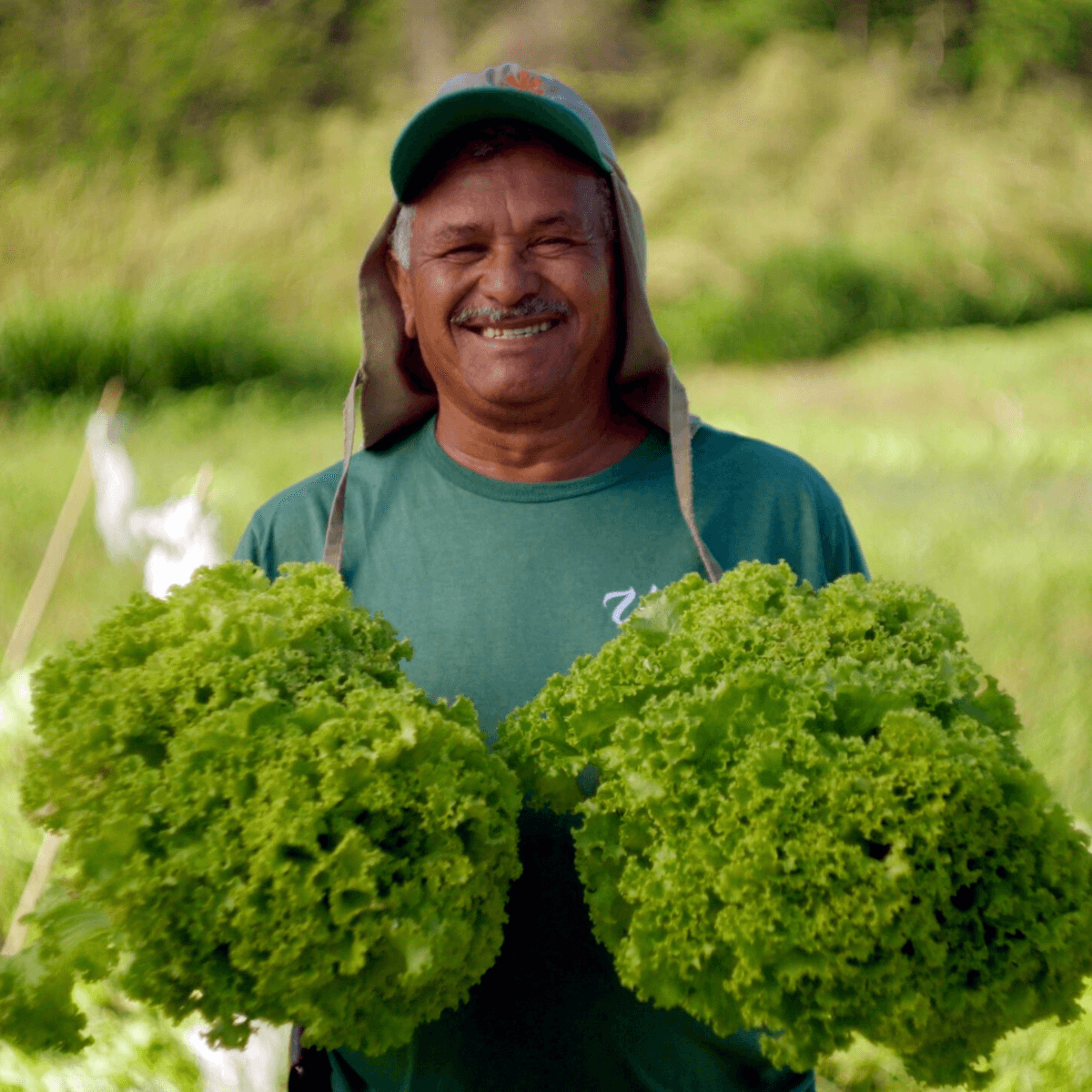 a farmer smiles while holding two large heads of leafy green lettuce in a field.